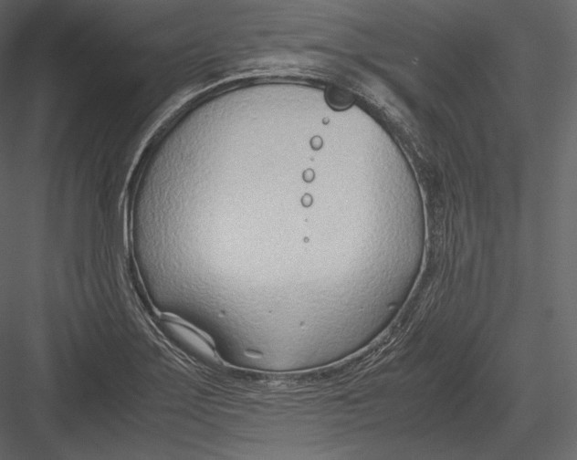 X0000082951275200702222303