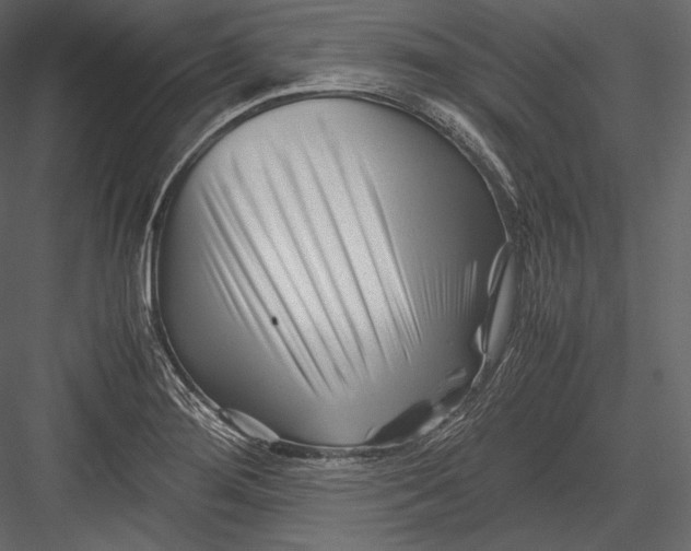 X0000082951276200702222303