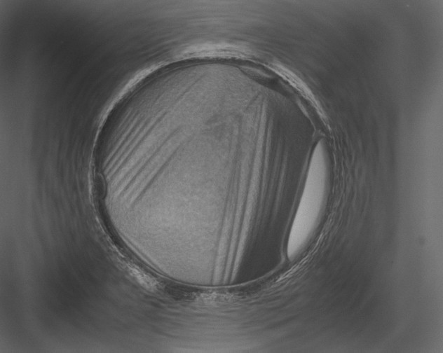 X0000082951277200702222303