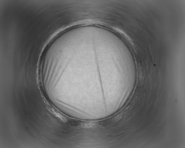 X0000082951278200702222303