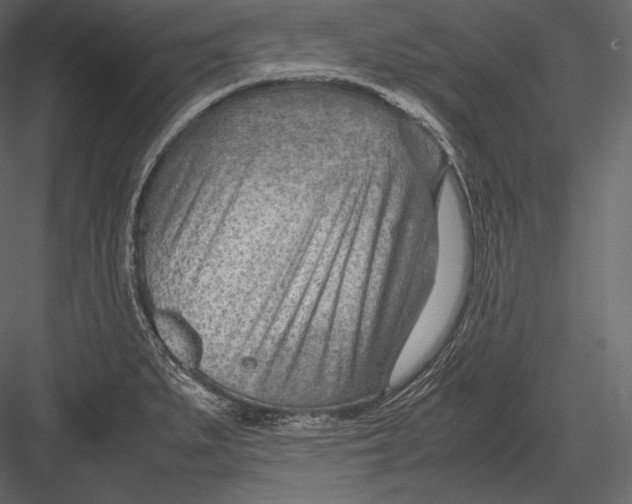 X0000082951279200702222303