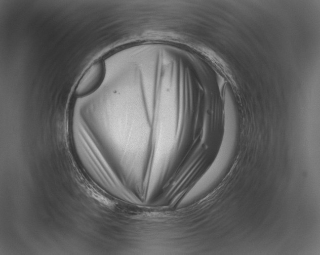 X0000082951280200702222303