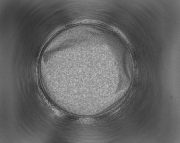 X0000082951282200702222303