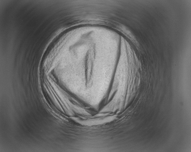 X0000082951283200702222303