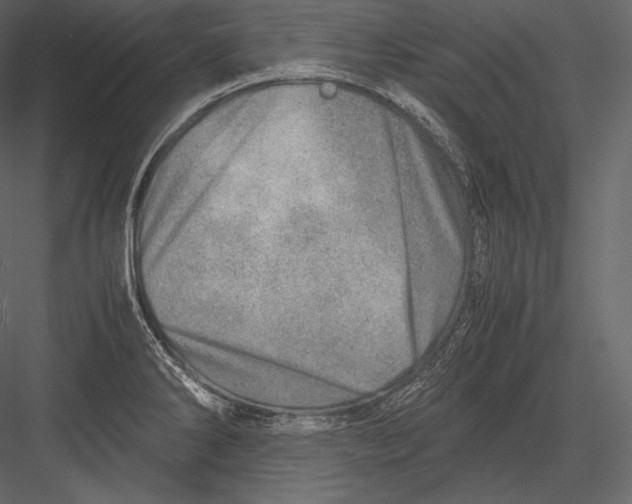 X0000082951286200702222303