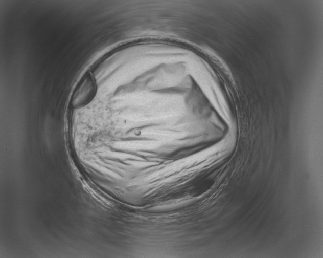 X0000082951287200702222303