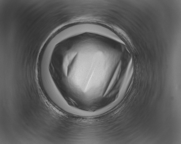 X0000082951288200702222303