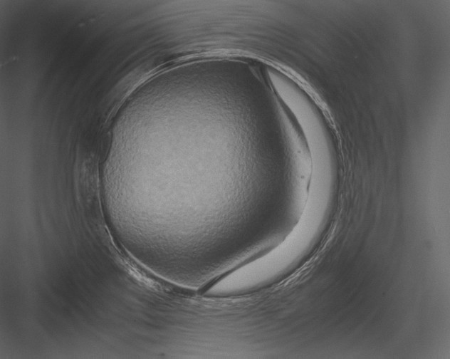 X0000082951289200702222303