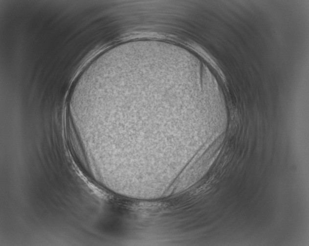 X0000082951290200702222303