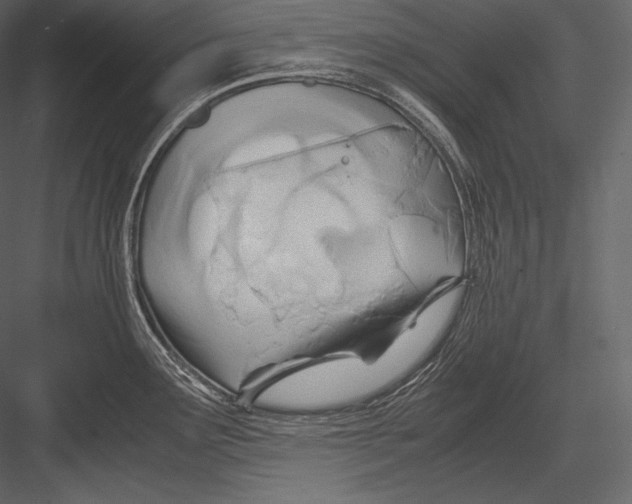 X0000082951291200702222303