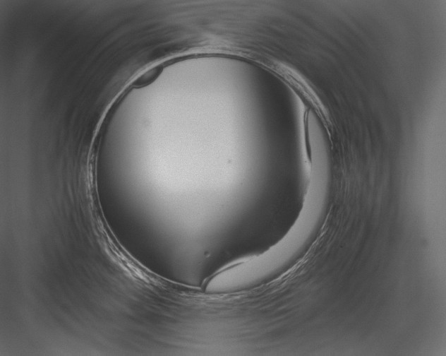 X0000082951292200702222303