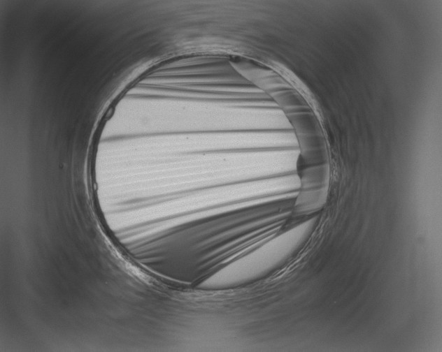 X0000082951293200702222303