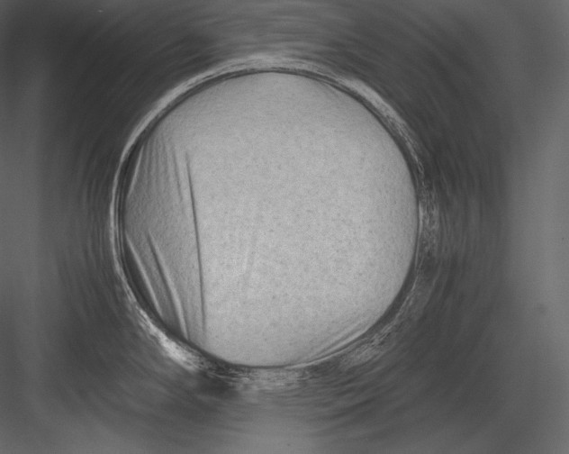 X0000082951294200702222303