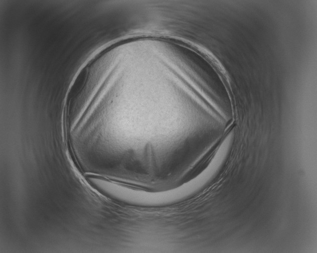 X0000082951295200702222303