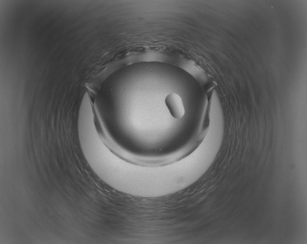 X0000082951298200702222302