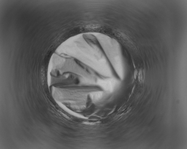 X0000082951299200702222302