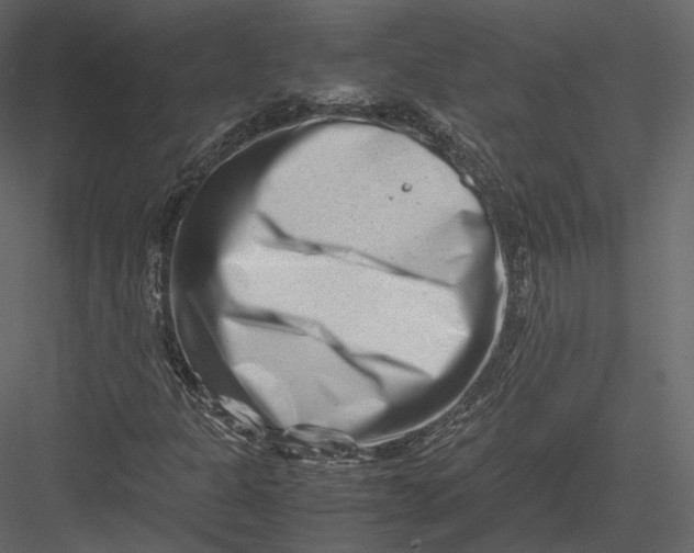 X0000082951301200702222302