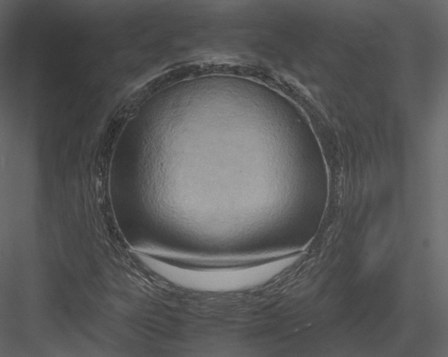 X0000082951303200702222302