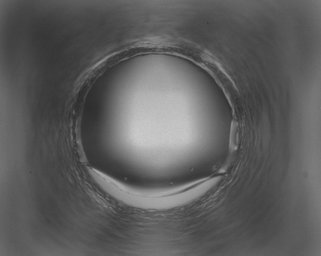 X0000082951304200702222302