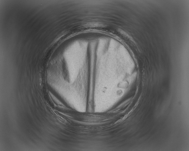 X0000082951305200702222302