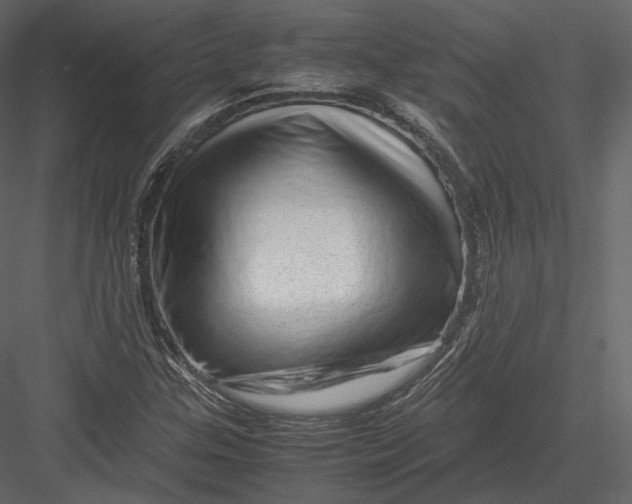 X0000082951307200702222302