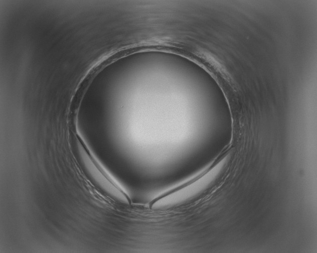 X0000082951308200702222302