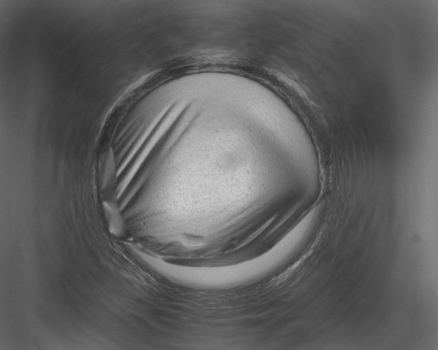 X0000082951309200702222302