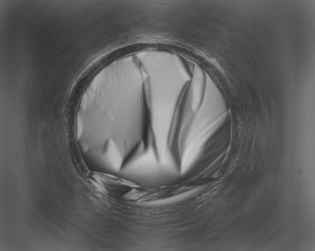 X0000082951311200702222302