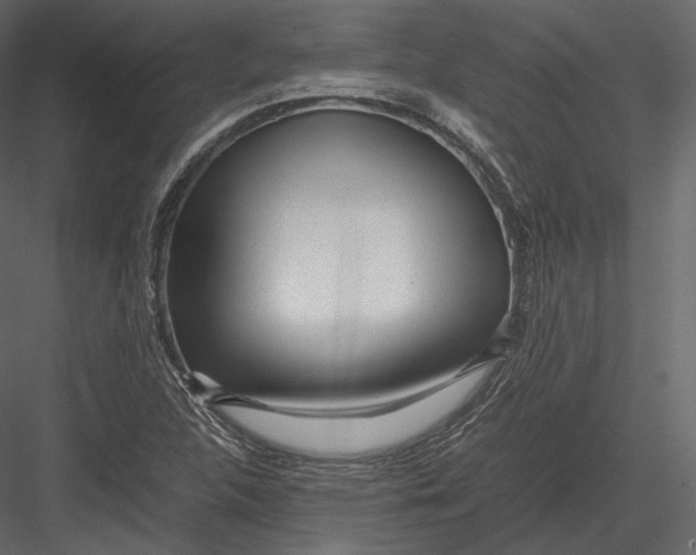 X0000082951312200702222303