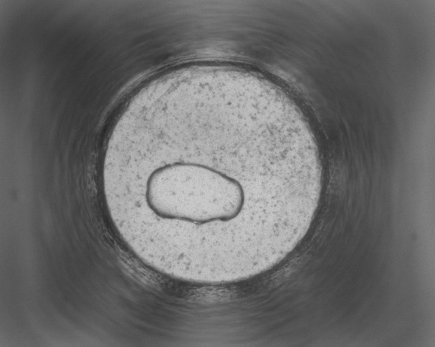 X0000082951314200702222303