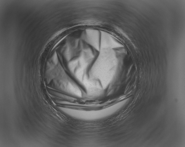 X0000082951315200702222303