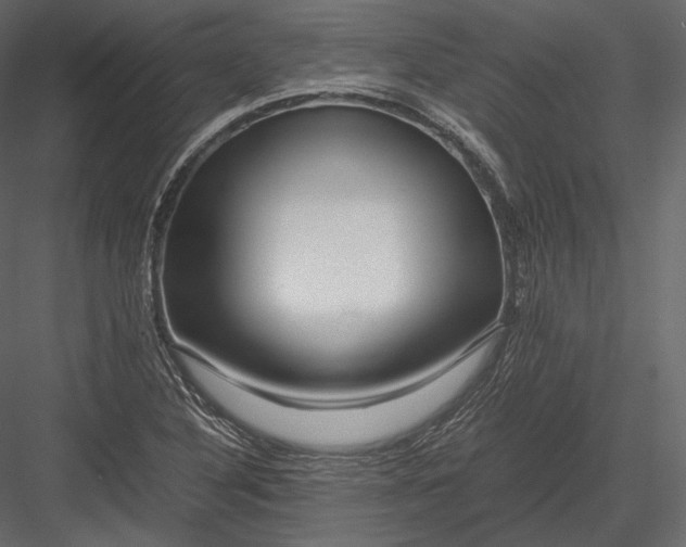 X0000082951316200702222303