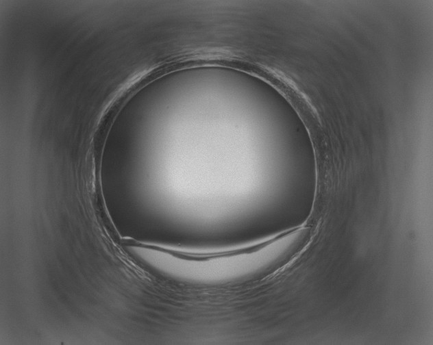 X0000082951317200702222303