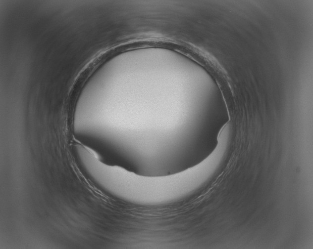 X0000082951318200702222303