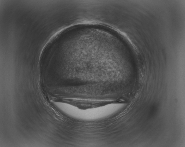 X0000082951319200702222303