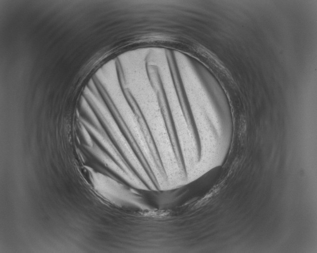 X0000082951321200702222303