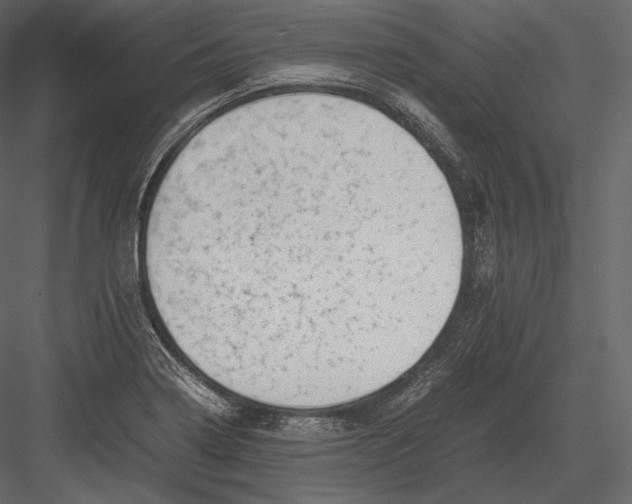 X0000082951322200702222303