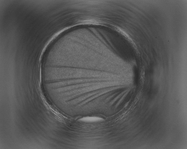 X0000082951323200702222303