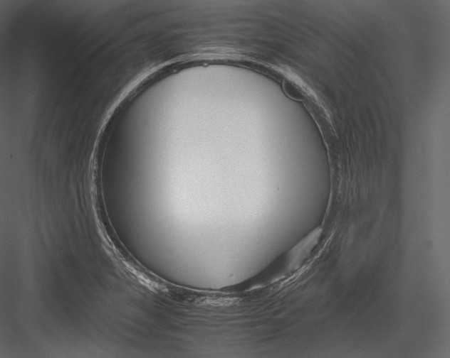 X0000082951325200702222303