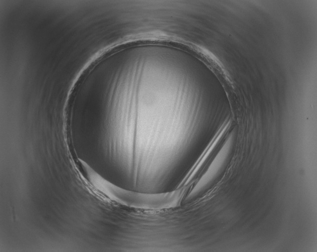 X0000082951326200702222303