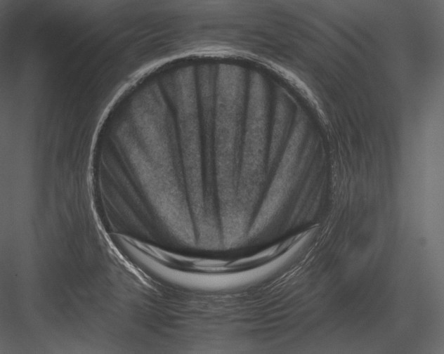 X0000082951327200702222303