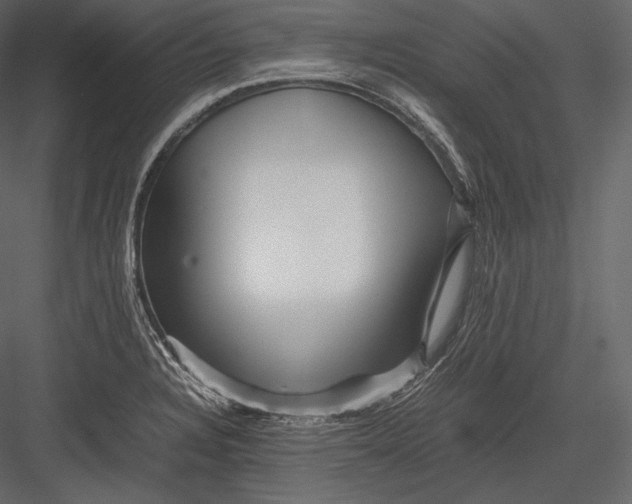 X0000082951328200702222303