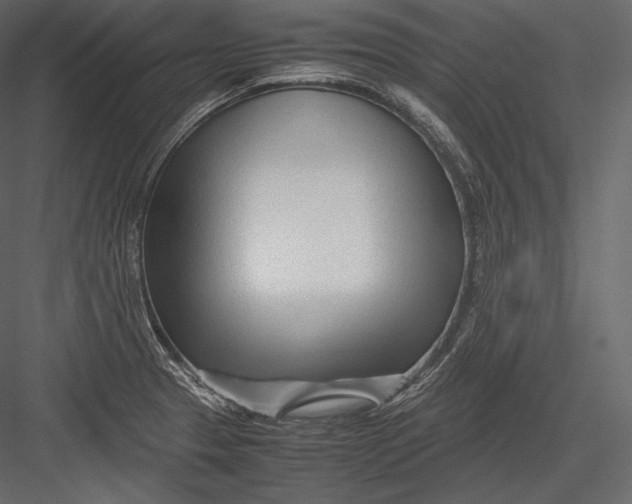 X0000082951329200702222303