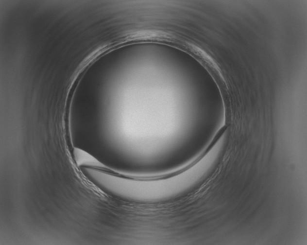 X0000082951330200702222303