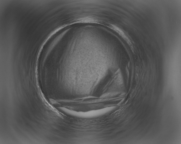 X0000082951331200702222303