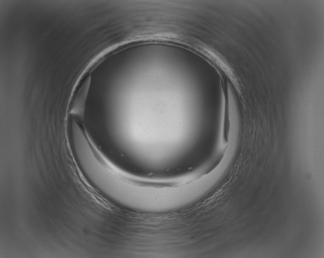 X0000082951332200702222303