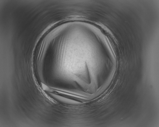 X0000082951333200702222303