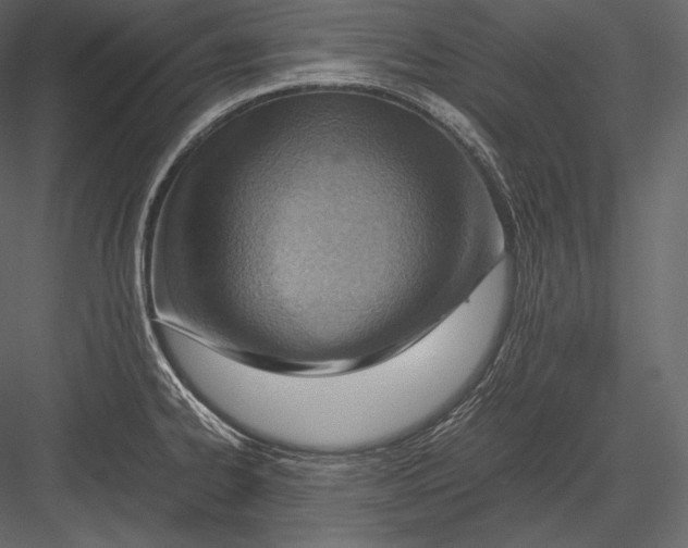 X0000082951334200702222303