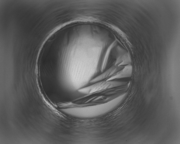 X0000082951335200702222303