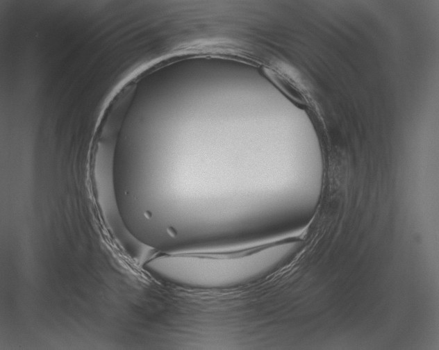 X0000082951336200702222303